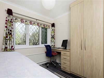 Picture 24